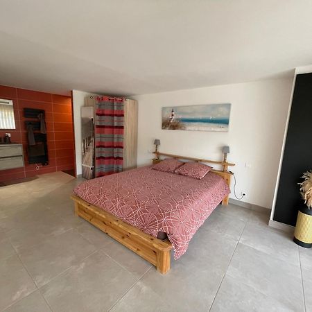 Studio 40M2 Avec Terrasse Le Mas De Lauriane 생트마리들라메르 외부 사진